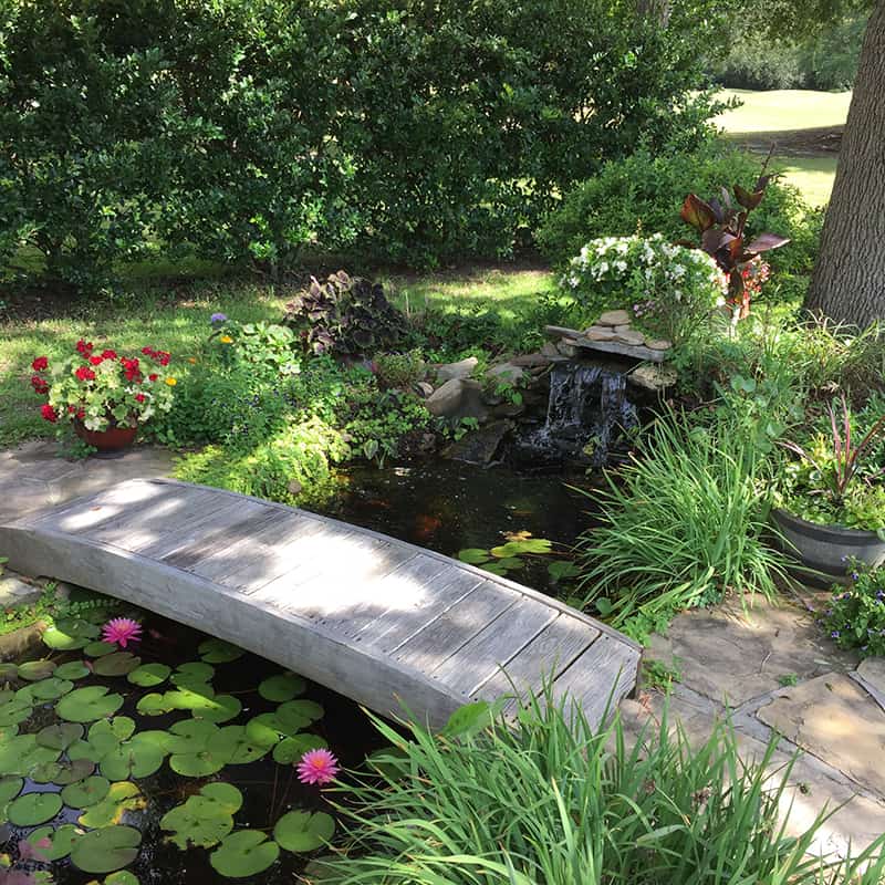 A picture of the beautiful garden and pond in the backyard of a house we pet sat at through Trusted Housesitters