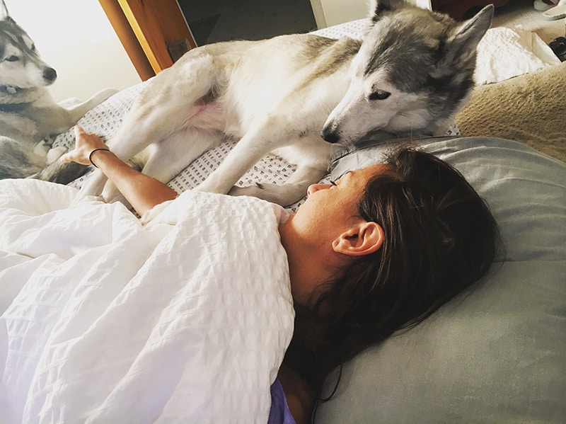 A picture of Karen in bed under the covers with Ara the husky laying next to her.
