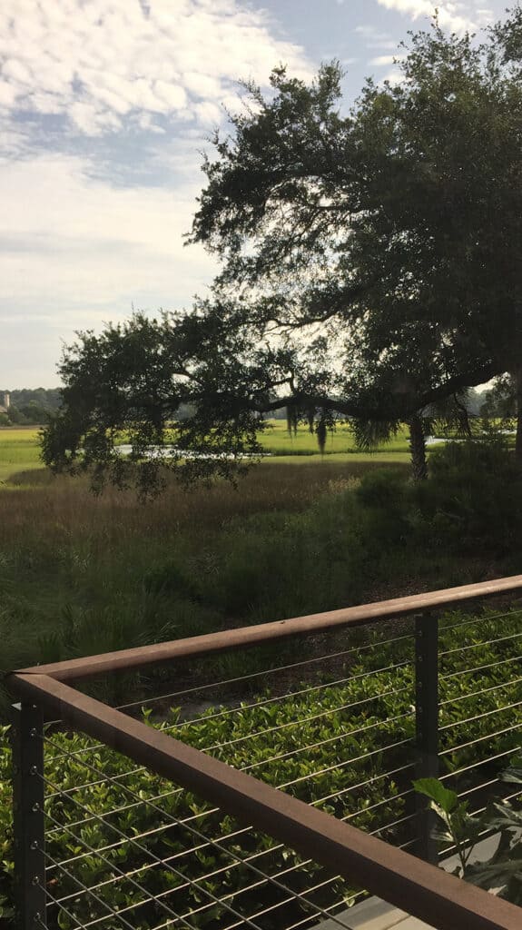 The backyard overlooking a marsh in a home we pet sat at in South Carolina.