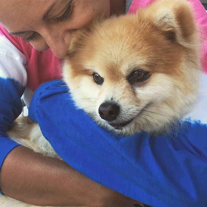 A picture of Karen snuggling Sheeba, an adorable fluffy dog.