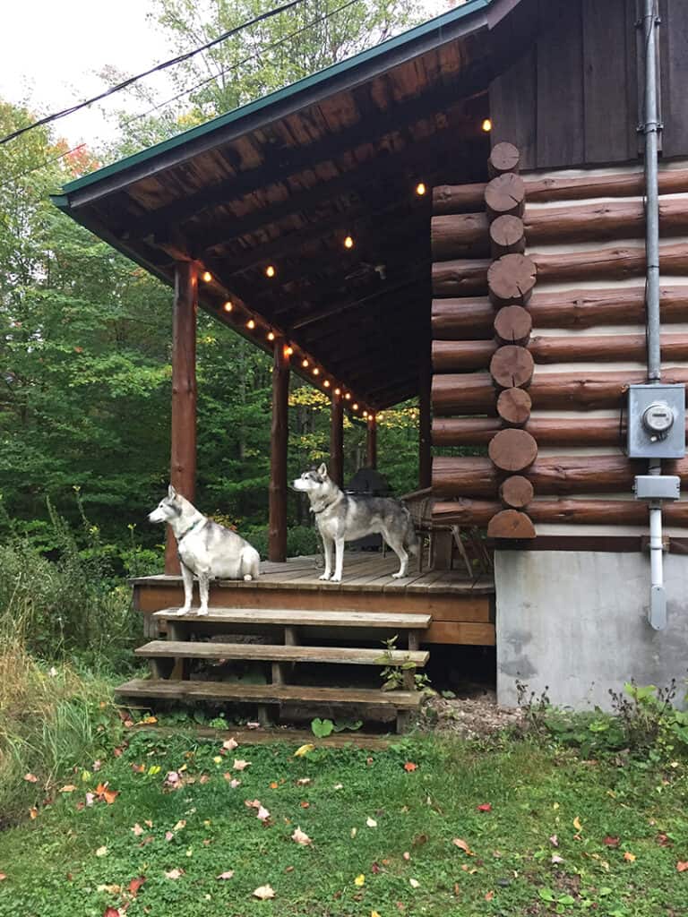 A picture of two husky dogs standing on the porch stairs of a log cabin. This is a beautiful home we stayed in through Trusted Housesitters.