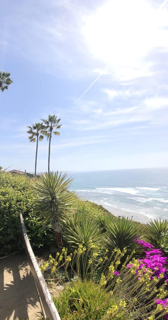 A picture of a magical garden in Encinitas, California.