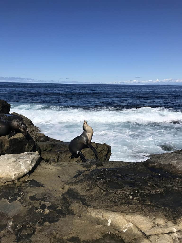 A picture of the rocky landscape by the ocean.