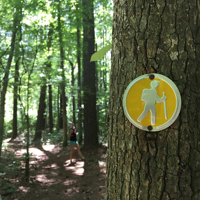 A walking sign on a tree in a hiking park.