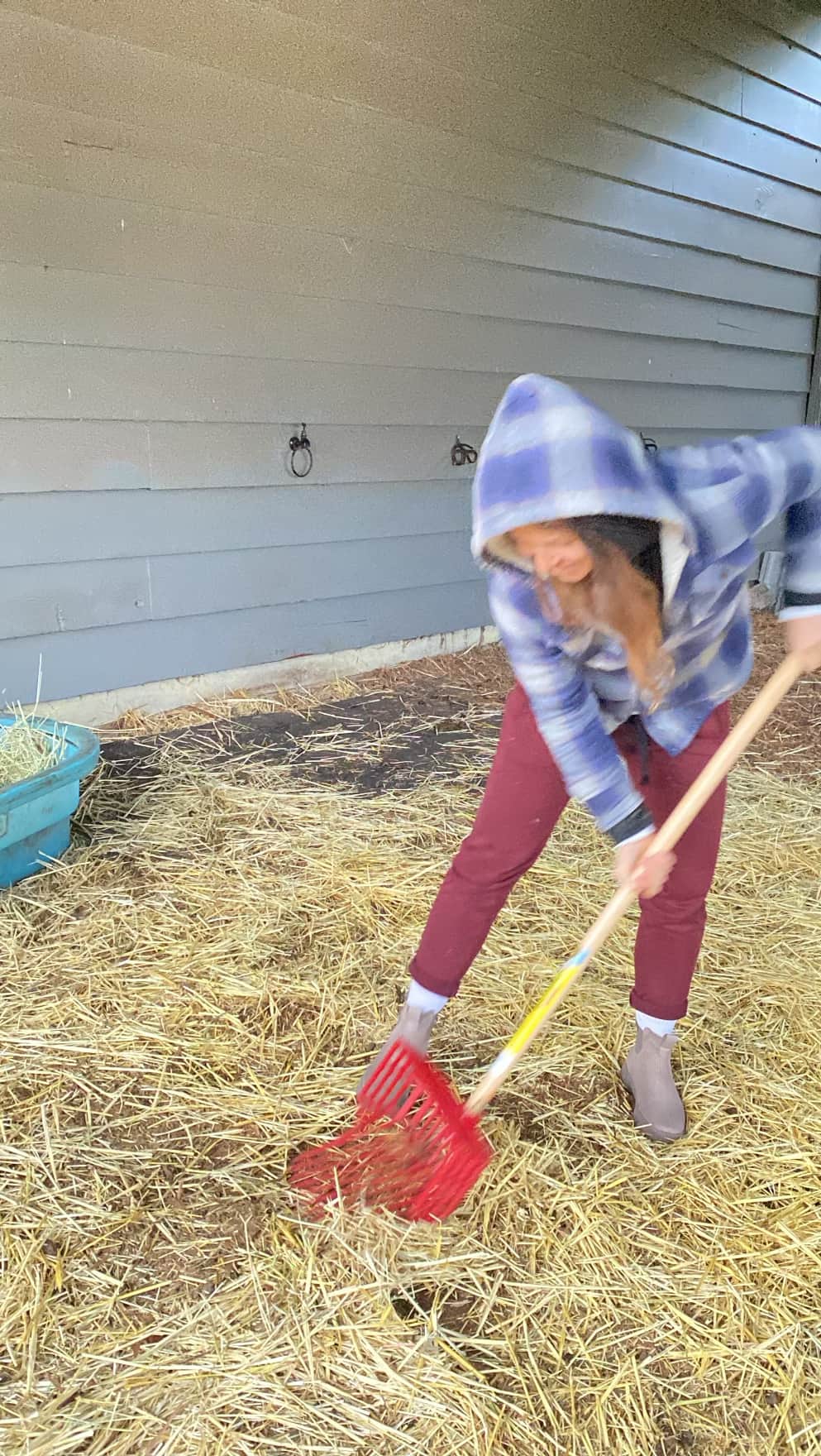 A picture of Donna shoveling hay and poop during our farm sit. What a fun time!