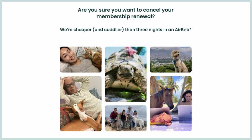 A screenshot of the page you see before confirming your membership cancellation. They joke that Trusted Housesitters is cheaper (and cuddlier) than three nights in an Airbnb, and we agree!