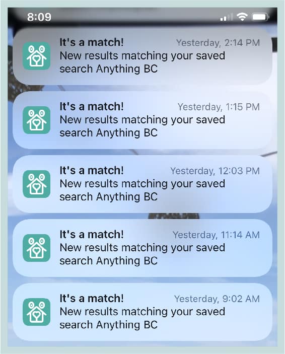 A screenshot of the notifications we get daily for our saved search on Trusted Housesitters titled 'Anything BC'. We get so many notifications every day for new sits.
