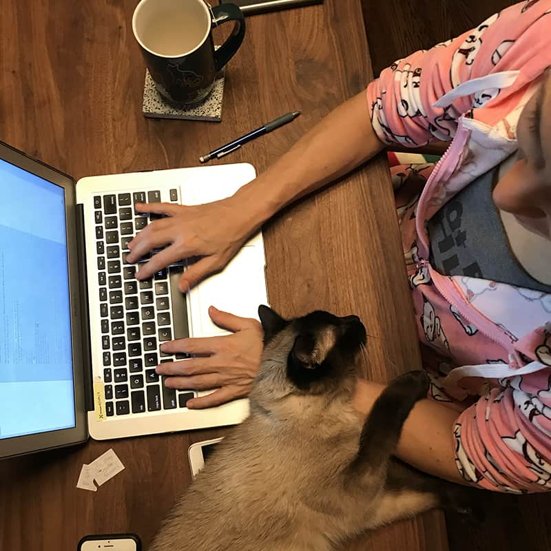 A picture of Donna working with Owen the cat on the table looking for love. We enjoy caring for cats through Trusted Housesitters.