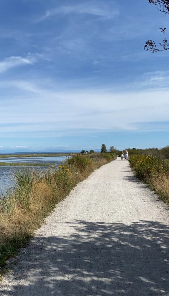 A path at the beach where we would walk the dogs.