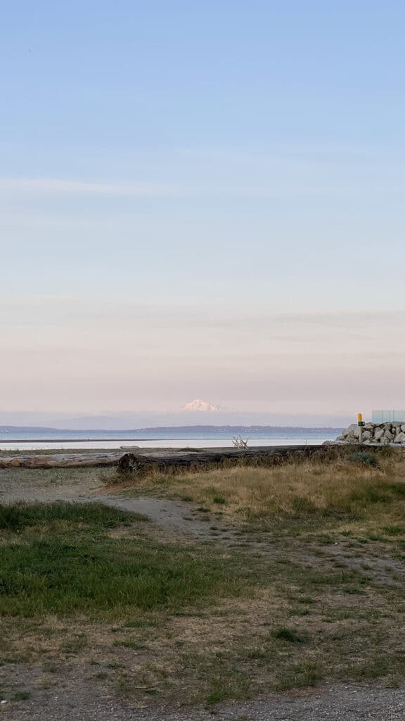 The local beach where we would take the dogs for walks. Grateful to experience this beauty through Trusted Housesitters