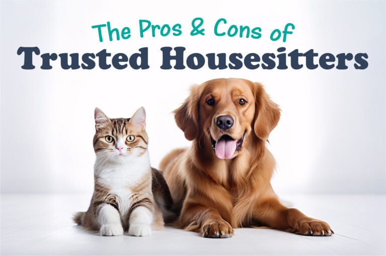 Trusted Housesitters: Pros and Cons