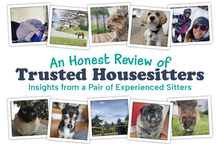 A bunch of pictures from our Trusted Housesitters experiences.